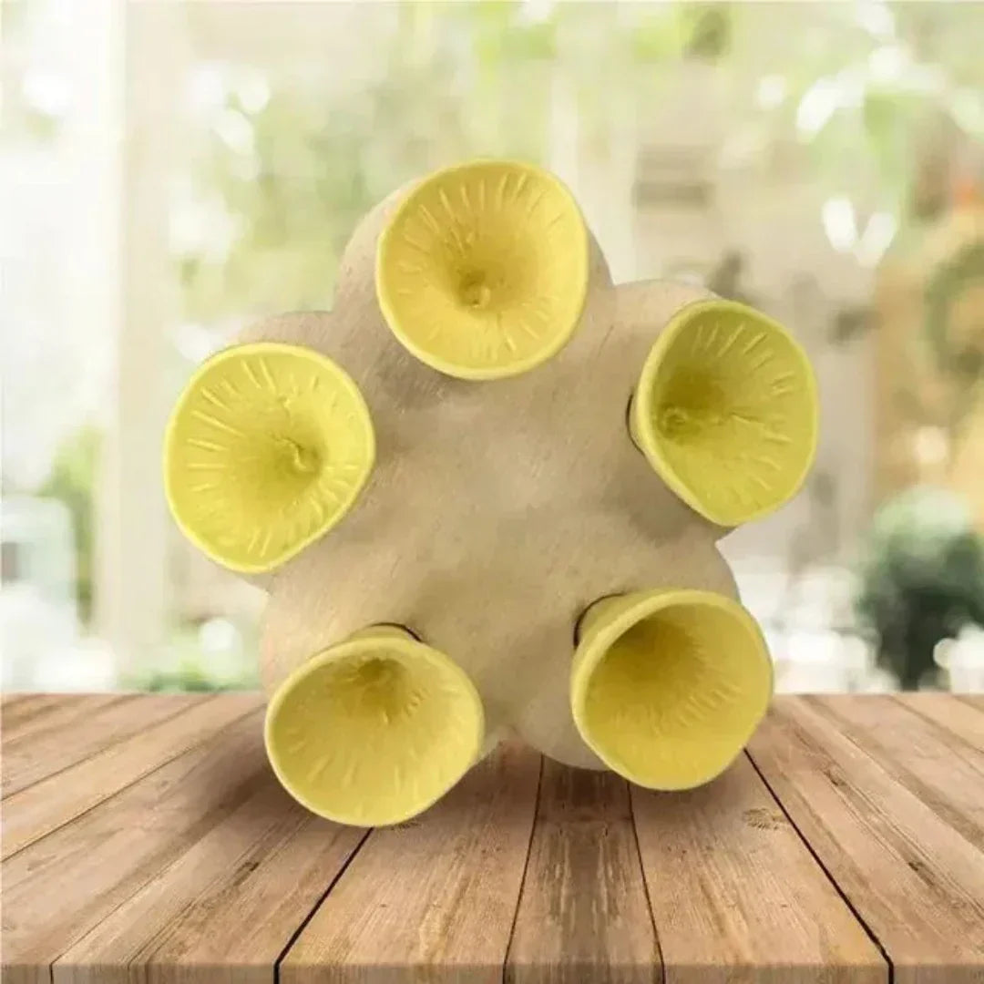 Hjemix | Bee Care - PolliCup - Pollinator Friendly - Support Biodiversity