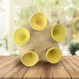 Hjemix | Bee Care - PolliCup - Pollinator Friendly - Support Biodiversity