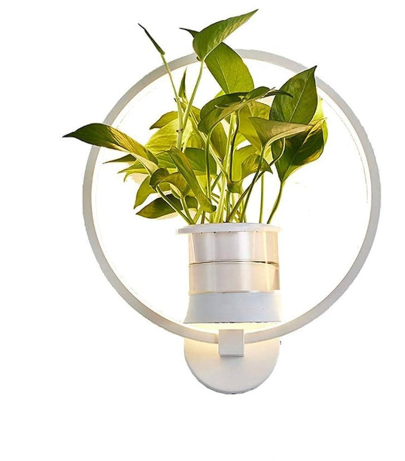 Hjemix | Botanisk Vegglampe - vegglampe med plante for stilfull belysning
