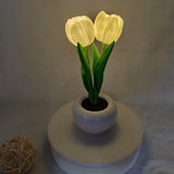 Hjemix | Moderne Kreativ Simulering Tulipan Peony LED Nattlys Bordlampe