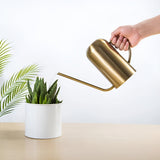 Hjemix | Rustfritt Stål Hellervann - 1,5L Lang Vanningkanne for Planter og Blomster