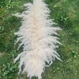 Hjemix | Stor fluffy pampasgress