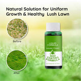 Hjemix | Flytende Gressfrø Spray