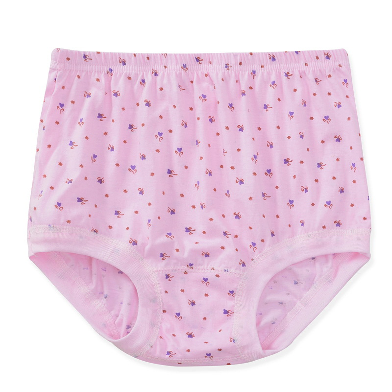 Hjemix | Ny Høy Midje Kvinne Leak Proof Slip