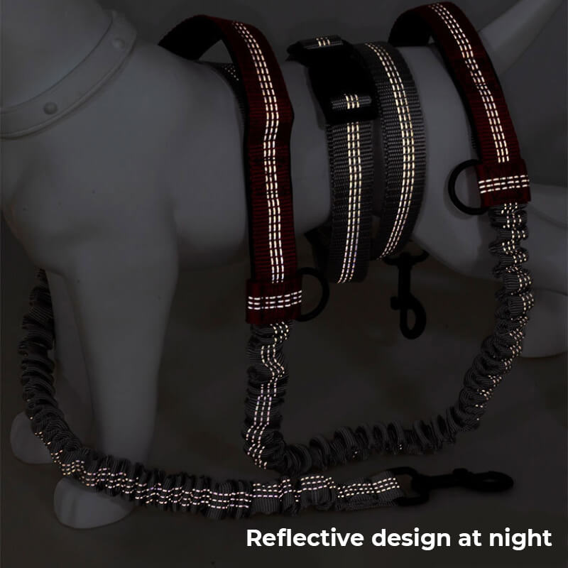 Hjemix | Teleskopisk Dobbel Håndtak Multifunksjonell Hundesnor