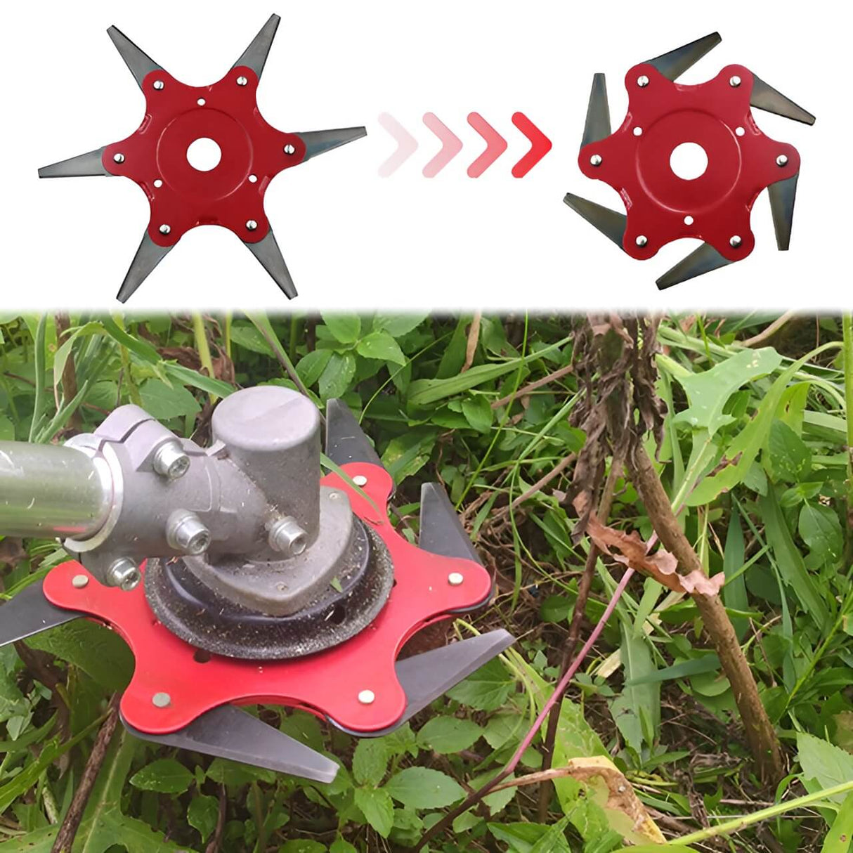 Hjemix | Universal 6 Stål Barberblad Trimmer Hode