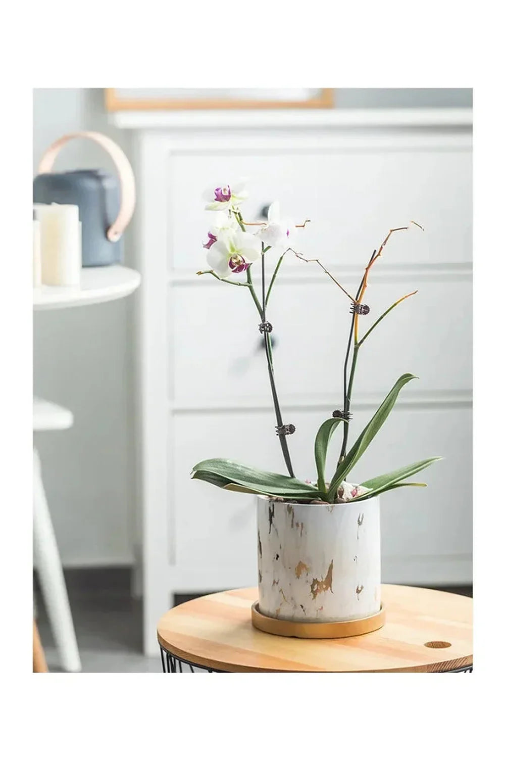 Hjemix | Marmor Gullblad Plantepotte Sett