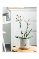 Hjemix | Marmor Gullblad Plantepotte Sett