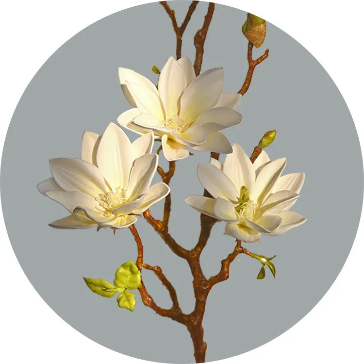 Hjemix | Künstige Magnolia Blomster