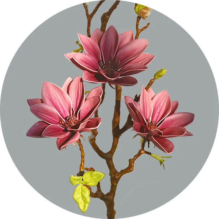 Hjemix | Künstige Magnolia Blomster