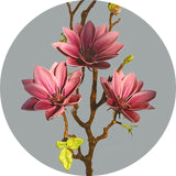 Hjemix | Künstige Magnolia Blomster