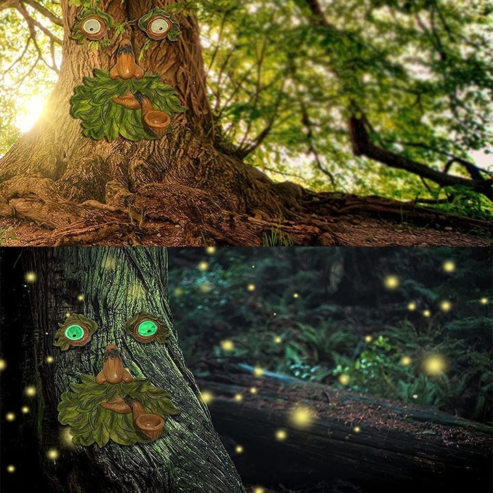 Hjemix | Eyes of Nature: Tre Ansikt Fugl Matestasjon