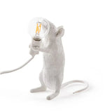 Hjemix | Moderne LED Dyre Bordlamper: Har resin, Katt, og Ekorn Nattlys