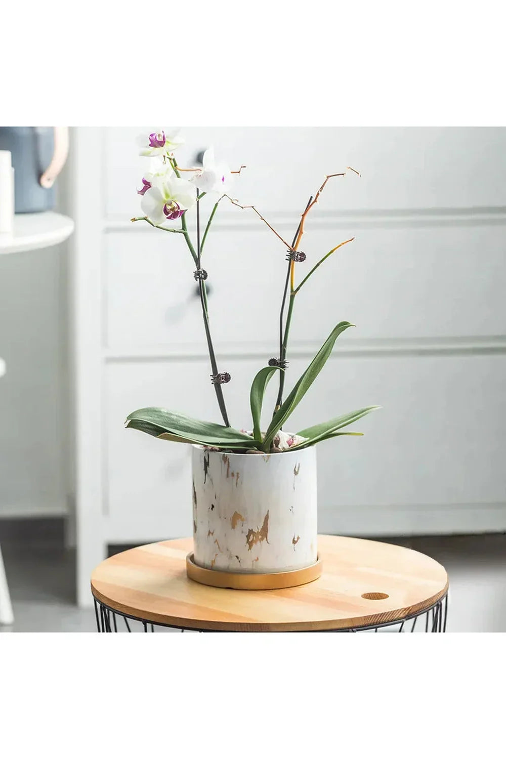 Hjemix | Marmor Gullblad Plantepotte Sett