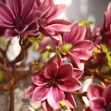 Hjemix | Künstige Magnolia Blomster