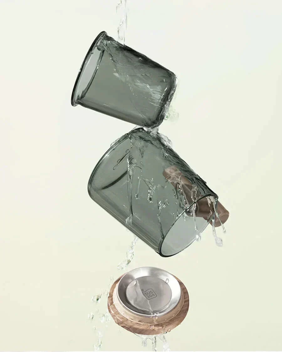 Hjemix | Ultramoderne Glass Te kopp med Filter og Lokk