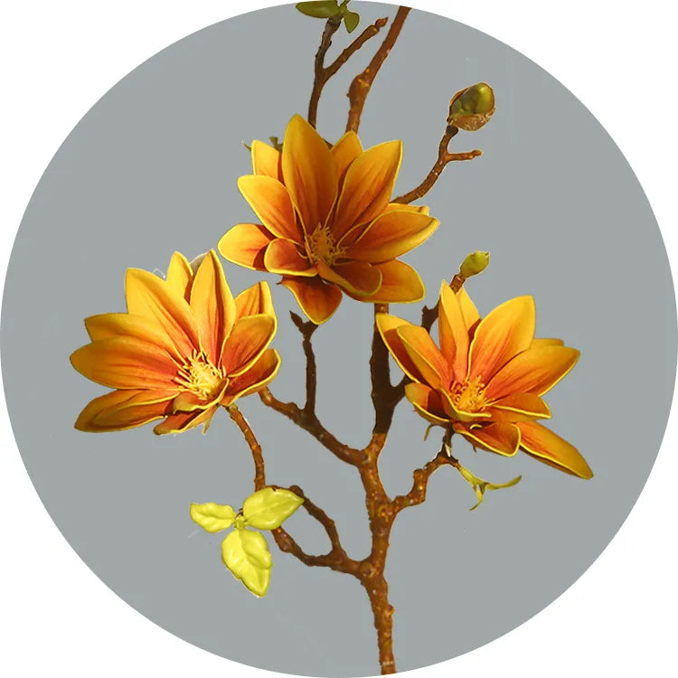 Hjemix | Künstige Magnolia Blomster