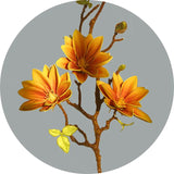 Hjemix | Künstige Magnolia Blomster
