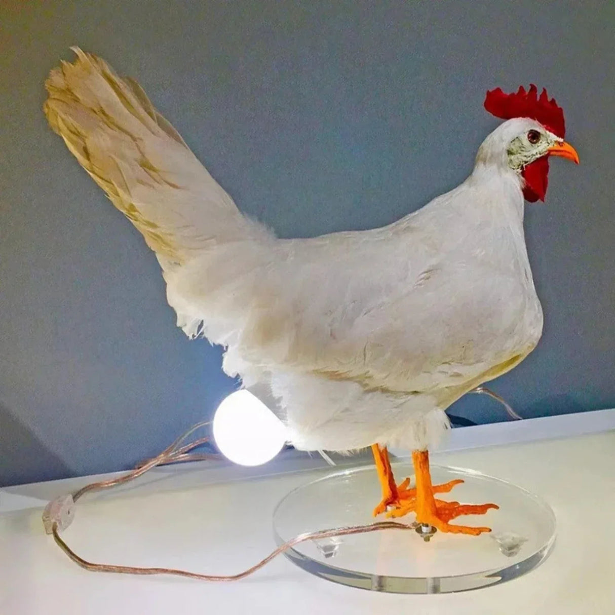 Hjemix | Landhus Kylling Bordlampe