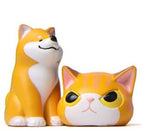 Hjemix | Dyr kledd som katter