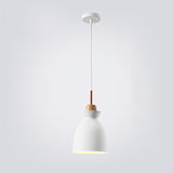Hjemix | AuroraLite Nordic Pendant Lamp | Metal Design | 1-Light | Modern Color Options