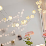 Hjemix | 30 LED Rose Fe Fairy Lights varm hvit