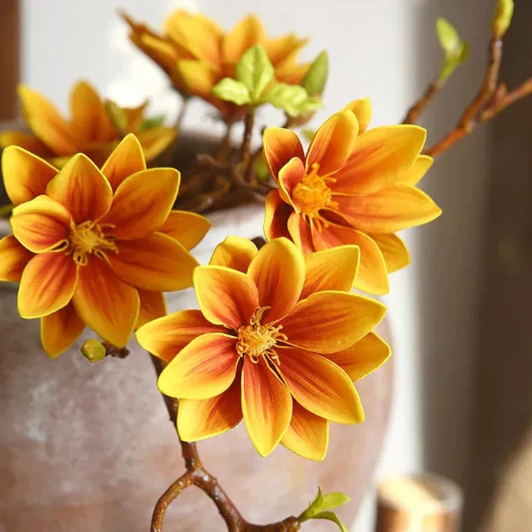 Hjemix | Künstige Magnolia Blomster