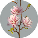 Hjemix | Künstige Magnolia Blomster