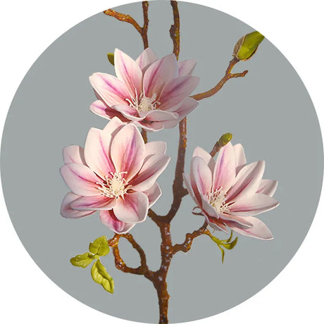 Hjemix | Künstige Magnolia Blomster