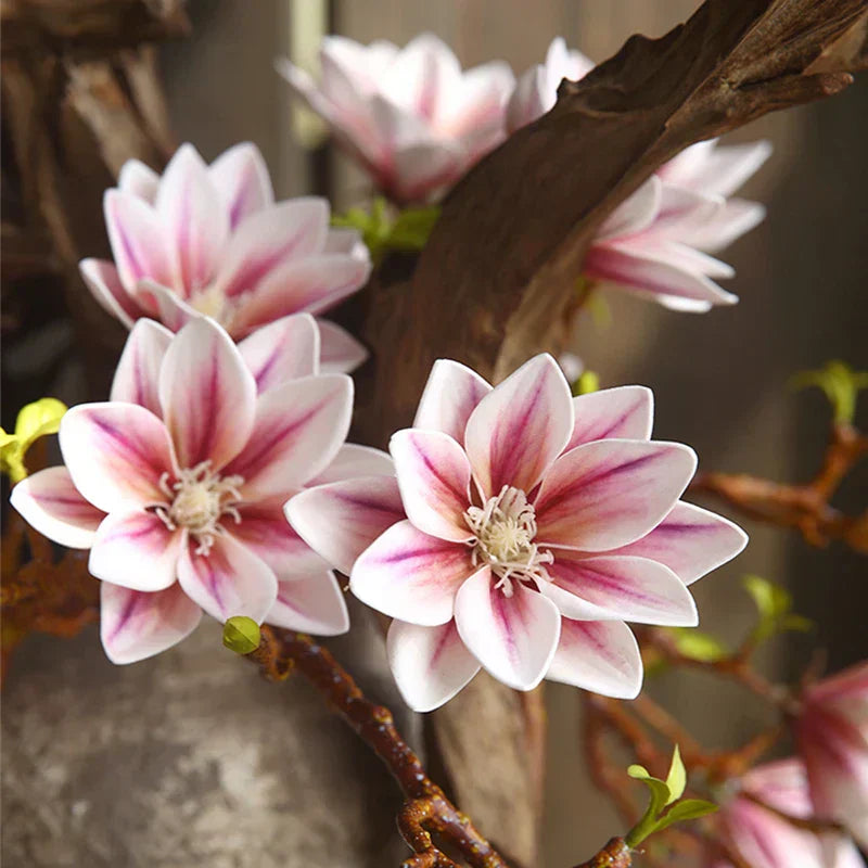 Hjemix | Künstige Magnolia Blomster