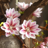 Hjemix | Künstige Magnolia Blomster