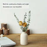 Hjemix Vase Sett Av 3, Blomster Vaser For Rustikk Hjemmedekor, Moderne Bondegård Dekor, Stue Dekor, Hylle Dekor, Bord Dekor