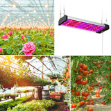 Hjemix | LED vekstlampe full spekterplante lys rør, Stil: Liten dobbel rad 100 cm (EU-plugg)