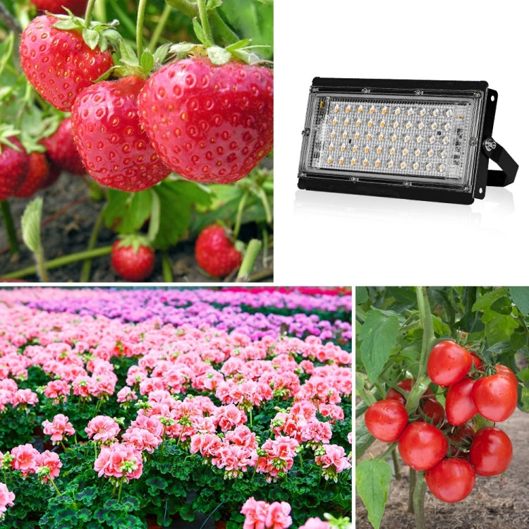 Hjemix | LED Plantebelysning Full Spektrum Vanntett Grow Light EU Plugg 144 Perler 200W