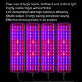 Hjemix | 4 hoder 12V Full Spectrum Rød og Blå Lys Panel Plantevekstlampe Frøplante Fylllys (EU-plugg)
