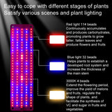 Hjemix | 4 hoder 12V Full Spectrum Rød og Blå Lys Panel Plantevekstlampe Frøplante Fylllys (EU-plugg)