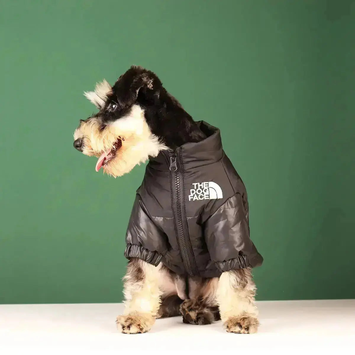 Hjemix | The Dog Face Jacket - Type A