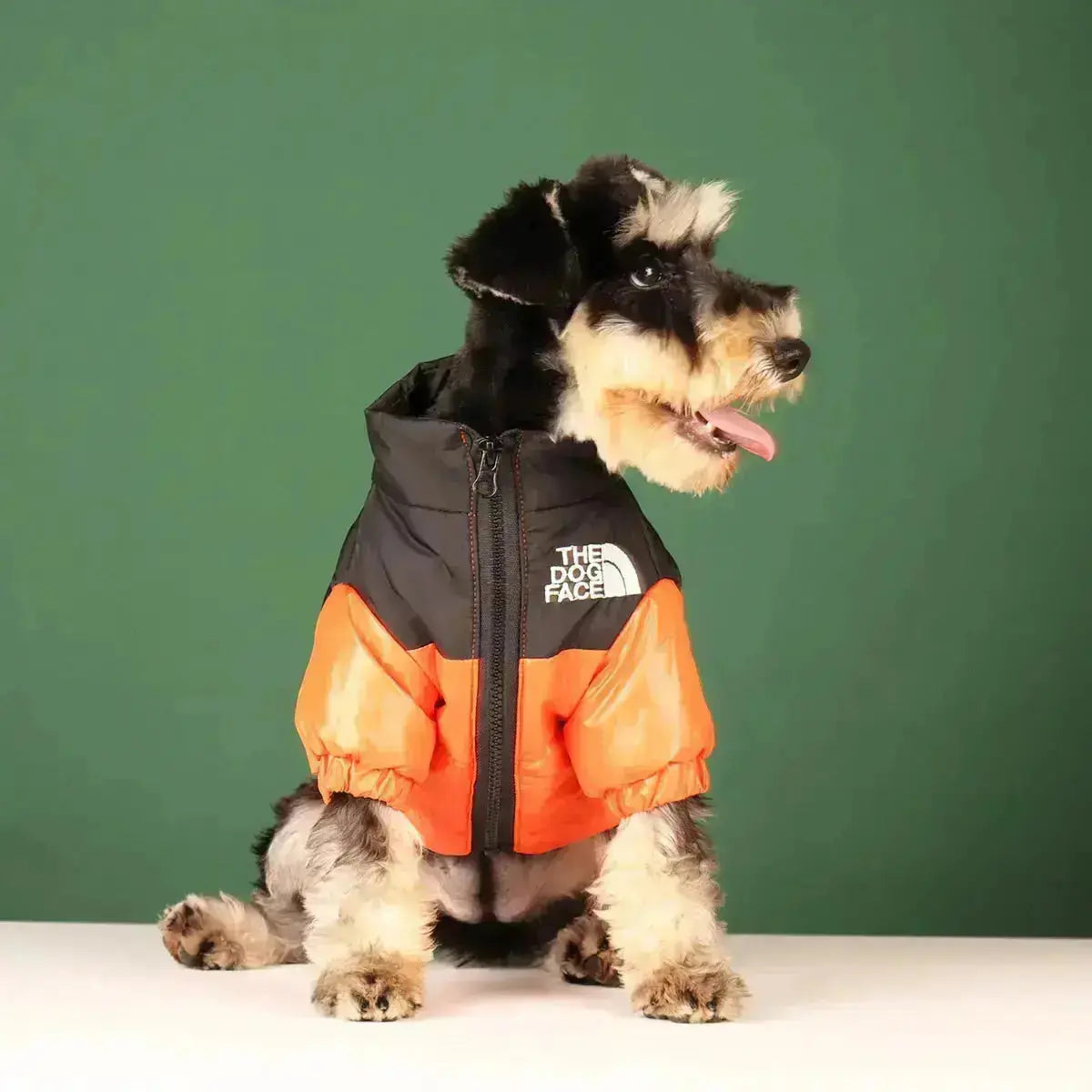 Hjemix | The Dog Face Jacket - Type A
