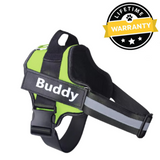 Hjemix | Hunder Sele Australia Med Navn