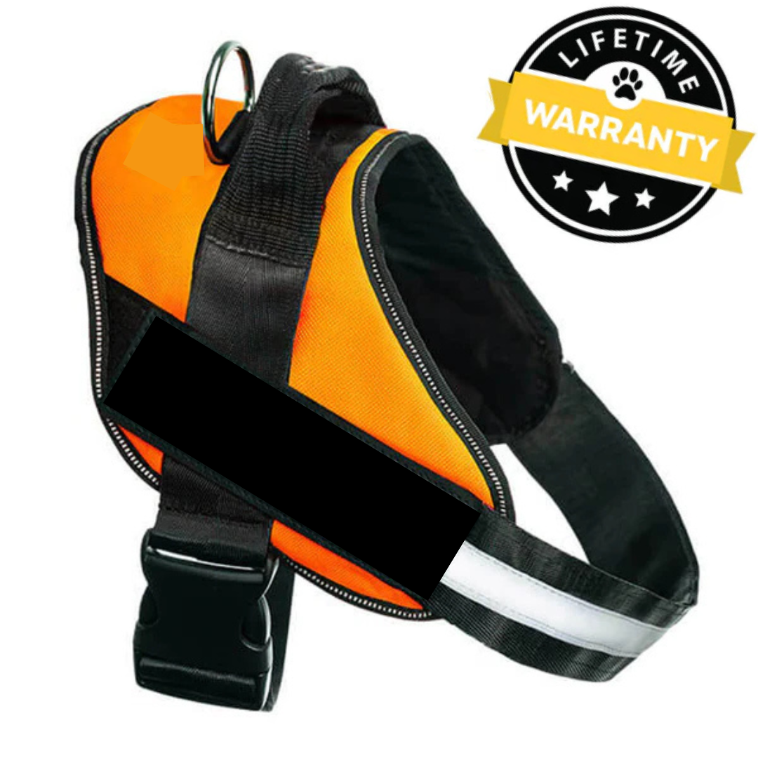 Hjemix | Hunder Sele Australia Med Navn