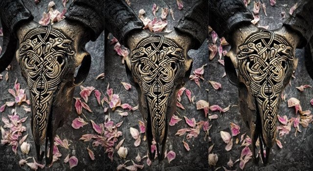 Hjemix | Uskåret værhode