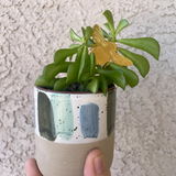 Hjemix | Plant Dyr Dekorasjoner