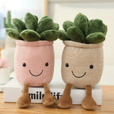 Hjemix | Søt Saftig Plash Putekappe: Myk, Koseplante Dekorasjon