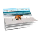 Hjemix | Pooping Pooches Hundekalender