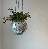 Hjemix | Disco Ball Hengende Plante