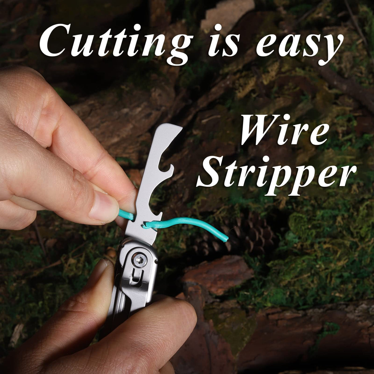 Hjemix | Uendelig Allsidighet, Beskytt Ditt Eventyr