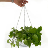 Hjemix | Disco Ball Hengende Planteholder