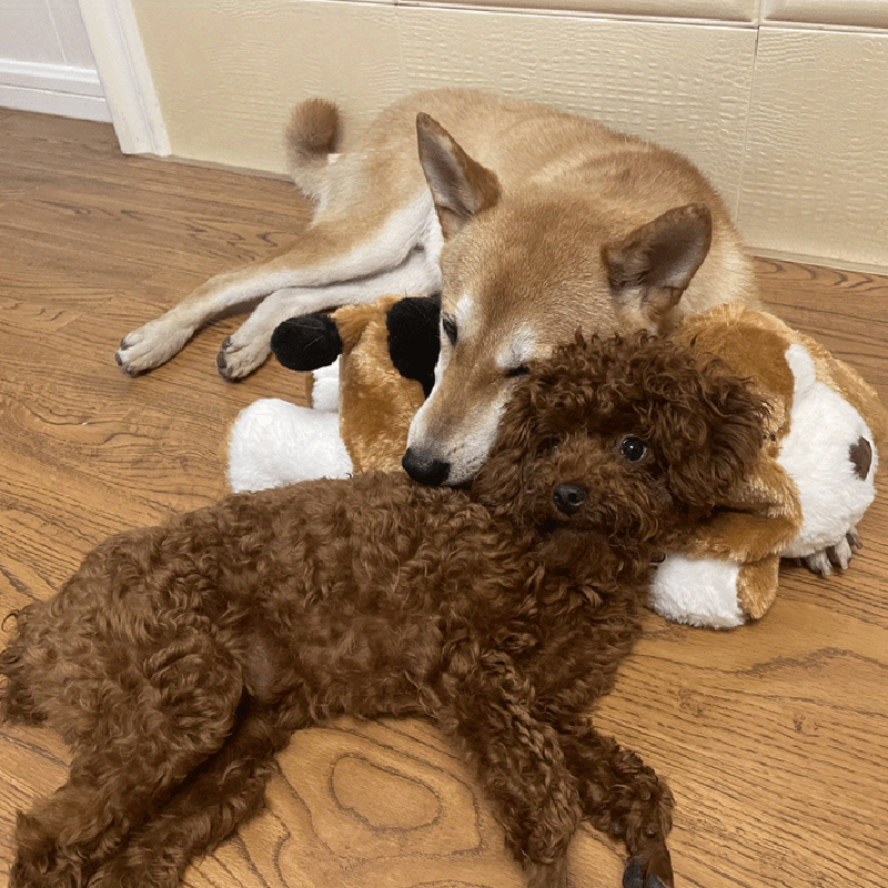 Hjemix | Snuggle Puppy - Angsts- og ensomhetsdempende kosedyr