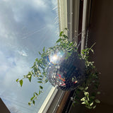 Hjemix | Disco Ball Hengende Planteholder