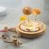 Hjemix | LumiCraft – Unik DIY bordlampe med naturlig sjøskjell for en koselig dekor